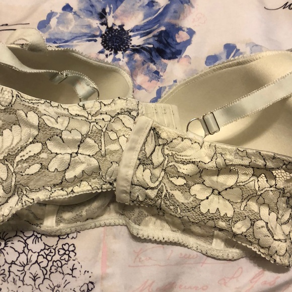 Push up bra by Daisy Fuentes - Picture 7 of 8